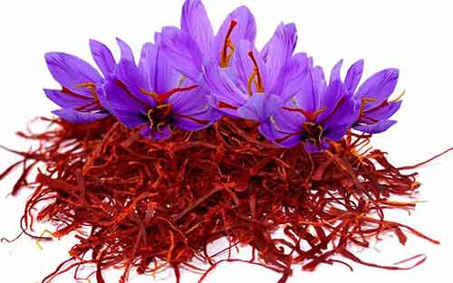 خرید زعفران و استفاده در درمان بیماری های گوارشی